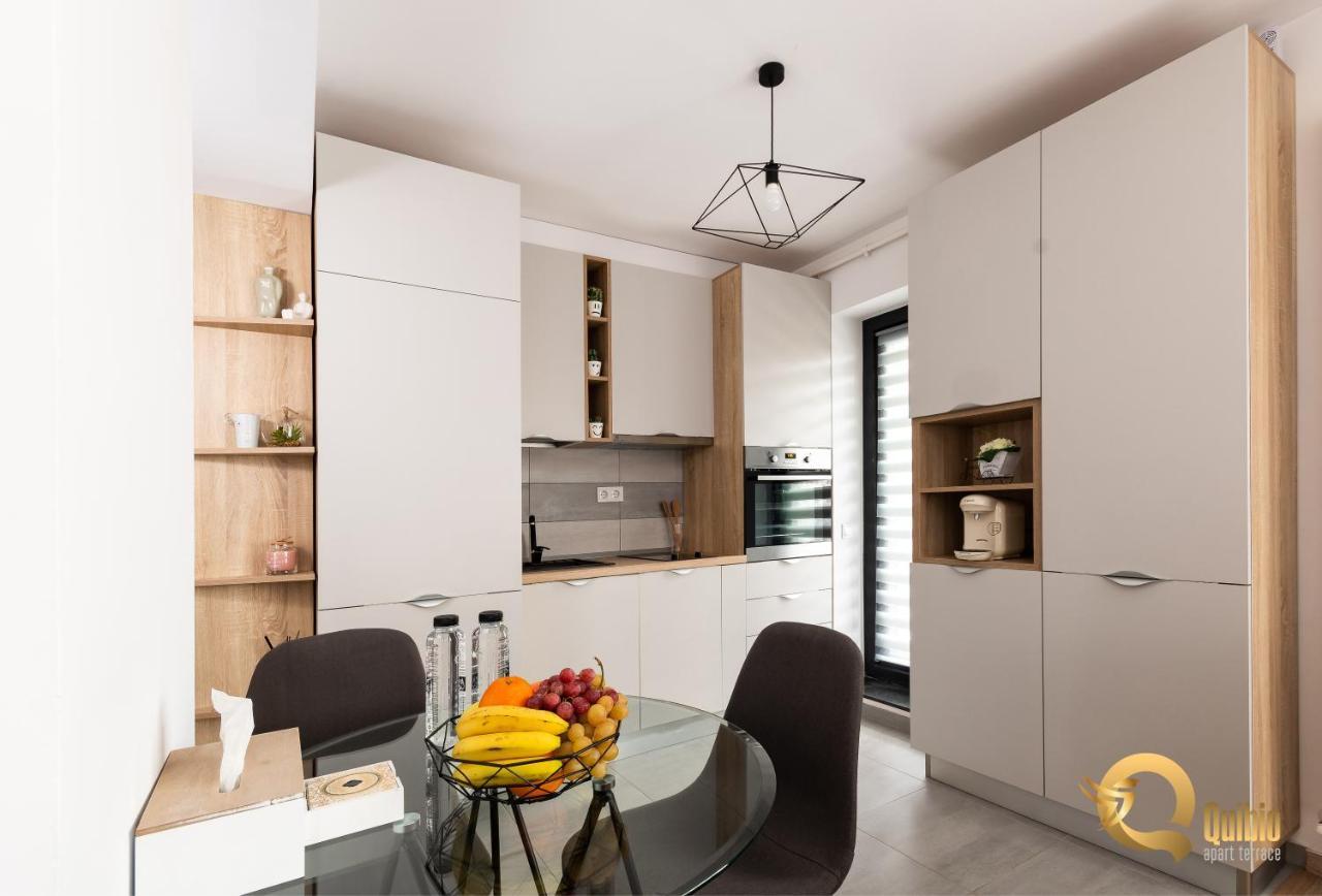 Quibio Terrace Apartment Brasov