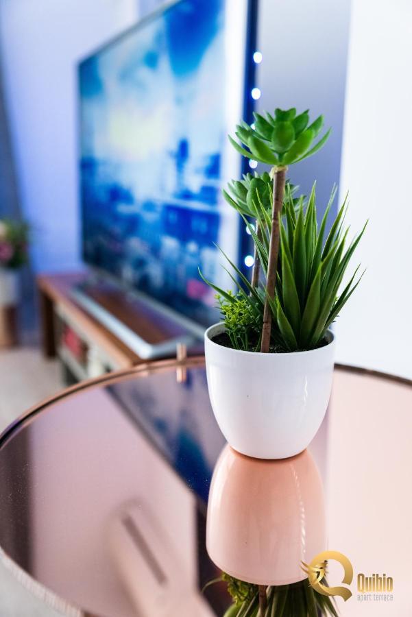 Quibio Terrace Apartment