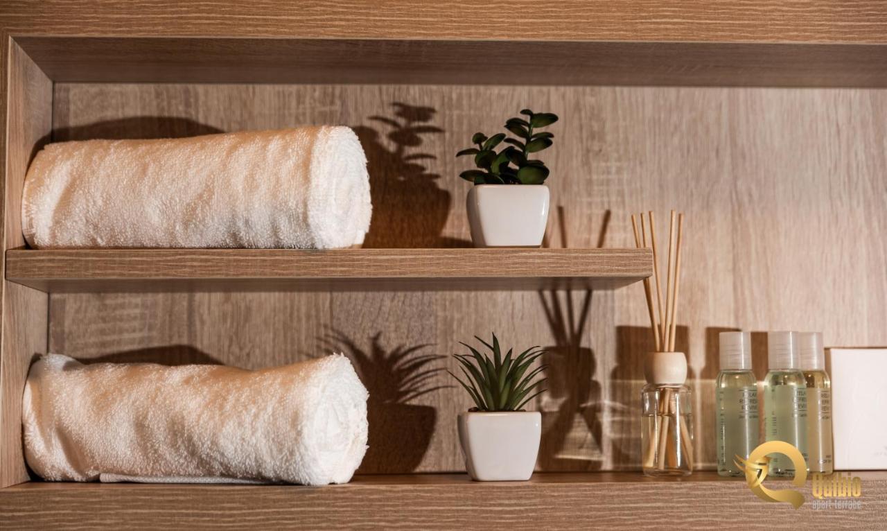 Quibio Terrace Apartment Brasov